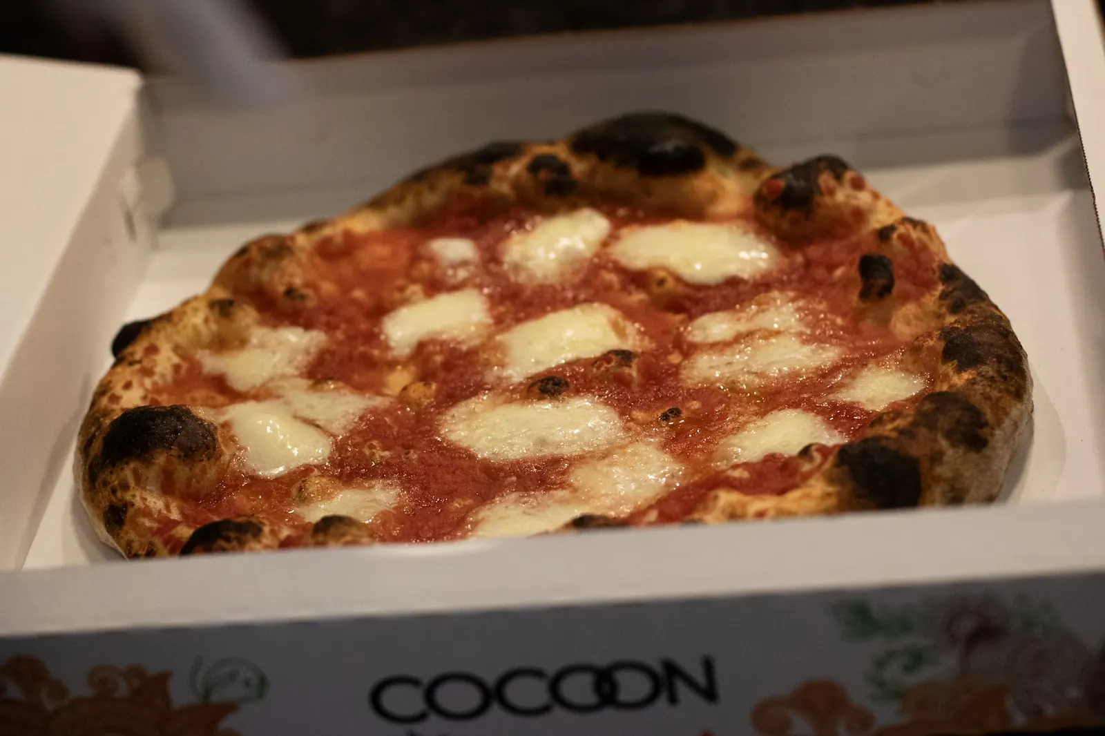 Una margherita nel cartone Cocoon, pronta da portare via